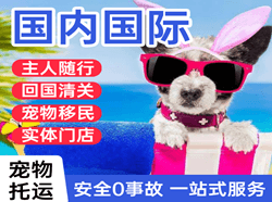 漠河航空物流国际宠物托运 【国
